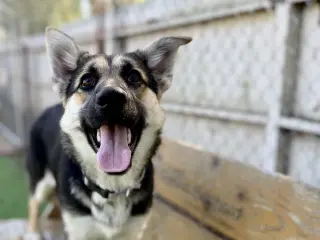 Julie