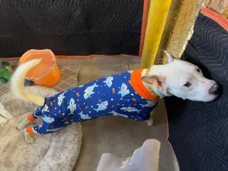 Lucky