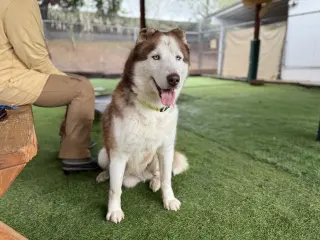 Barry