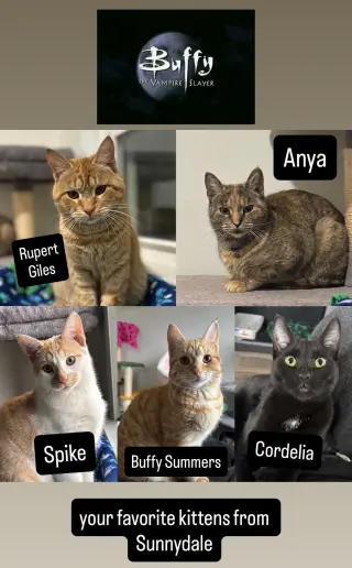 Anya