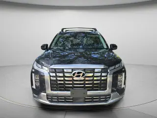 Hyundai PALISADE 2024 AWD Calligraphy 4dr SUV