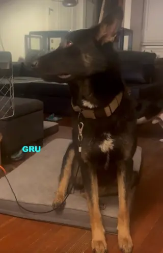GRU