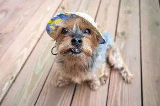 Rosie
