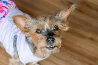 Rosie