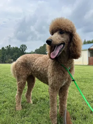 Bella Feb 26