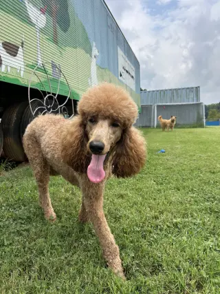 Bella Feb 26