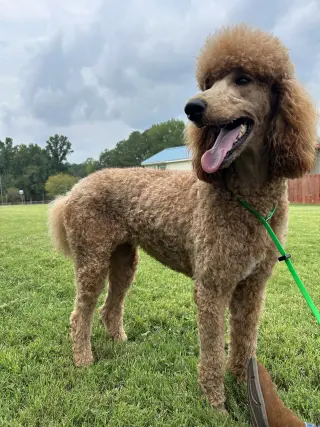 Bella Feb 26