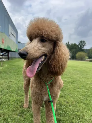 Bella Feb 26