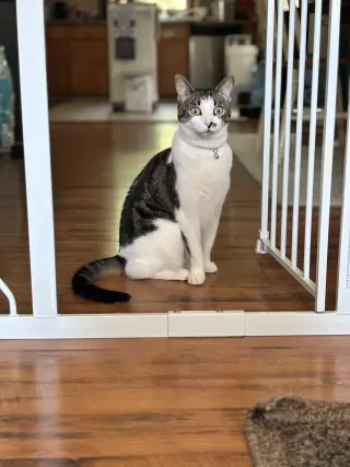 Rosie