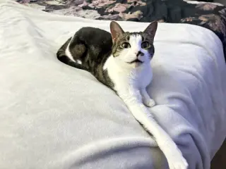 Rosie