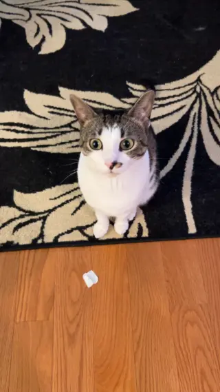 Rosie