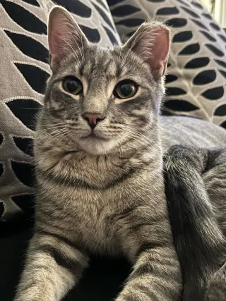 Lenny