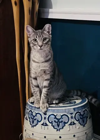 Lenny