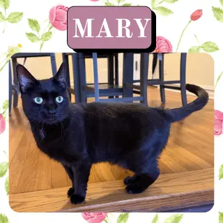 Mary