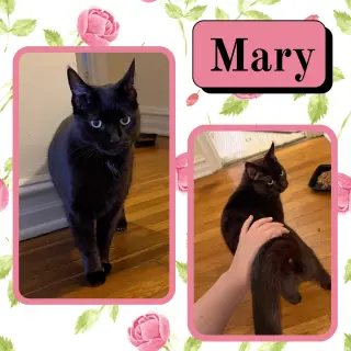 Mary