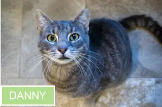 Danny (FCID# 02/05/2026 - 45 Trainer) C