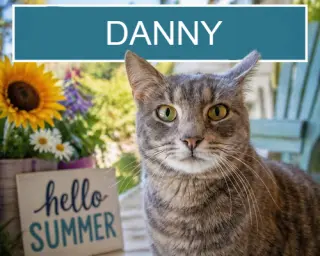 Danny (FCID# 02/05/2026 - 45 Trainer) C