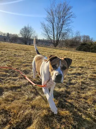 Wally