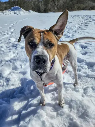 Wally