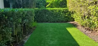 Tree landscaping
