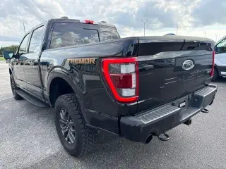 Ford F-150 2023 4x4 Tremor 4dr SuperCrew 5.5 ft. SB