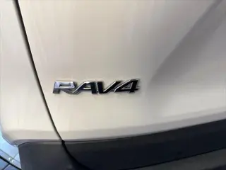 Toyota RAV4 2019 4x4 XLE 4p SUV