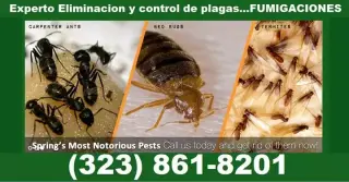 FUMIGACIONES ANAHEIM 24 hrs.
