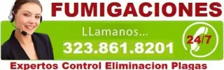 FUMIGACIONES ANAHEIM 24 hrs.