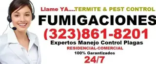 FUMIGACIONES ANAHEIM 24 hrs.