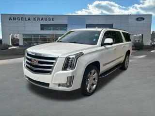 Cadillac Escalade ESV 2020 4x4 Luxury 4dr SUV