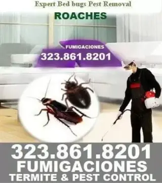 Fumigador-Termitas-Plagas 24hr
