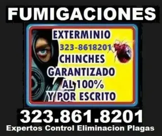 Fumigador-Termitas-Plagas 24hr