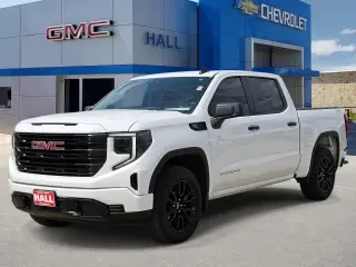 GMC Sierra 1500 2025 4x4 Pro 4dr Cabina de Crew 6.6 ft. SB