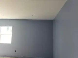 The New School painters