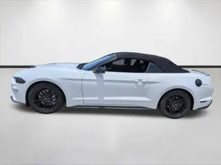 Ford Mustang 2020 GT Premium 2dr Convertible