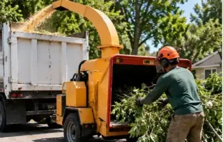 ¡No espere más para transformar su paisaje!