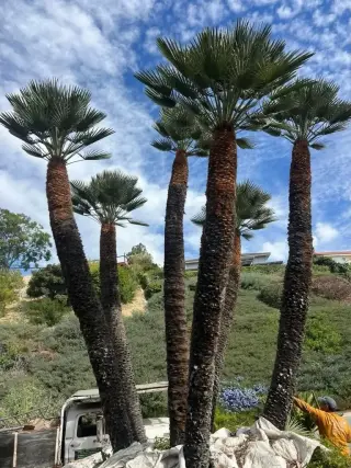 ¡No espere más para transformar su paisaje!