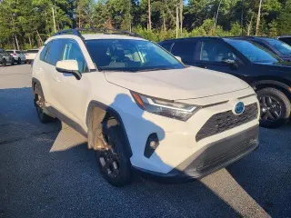 Toyota RAV4 Híbrido 2024 AWD Woodland Edition 4dr SUV