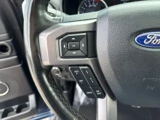 Ford Expedition 2019 4x4 Platinum 4dr SUV