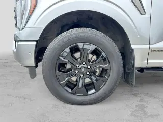 Ford F-150 2023 4x4 Platinum 4dr SuperCrew 5.5 ft. SB