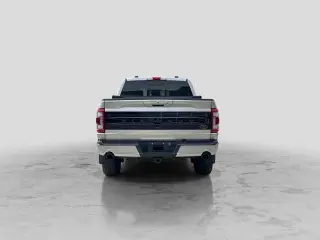 Ford F-150 2023 4x4 Platinum 4dr SuperCrew 5.5 ft. SB