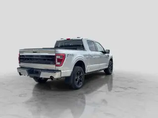 Ford F-150 2023 4x4 Platinum 4dr SuperCrew 5.5 ft. SB