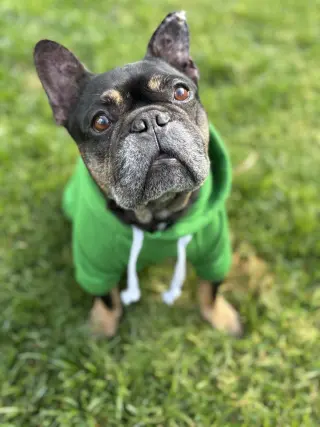 Booker