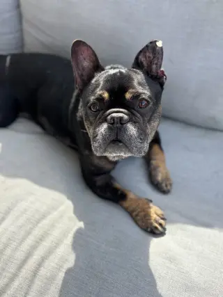 Booker