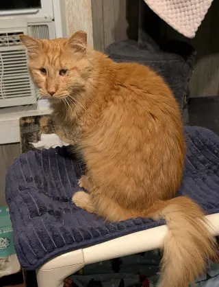 Charles