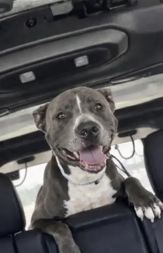 Onyx
