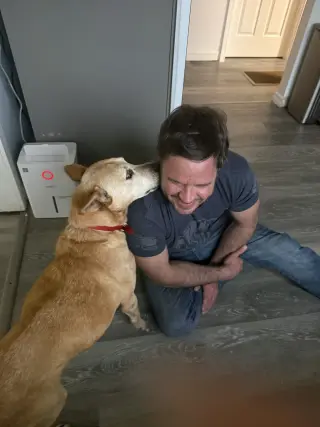 Helen (10yo, 40lbs)