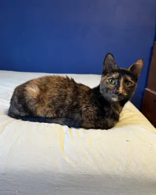 Gianna