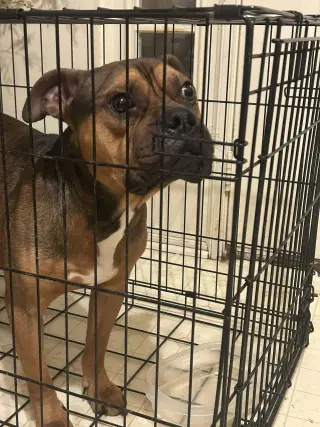Trouble