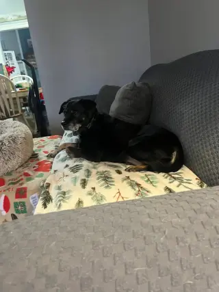 Chloe